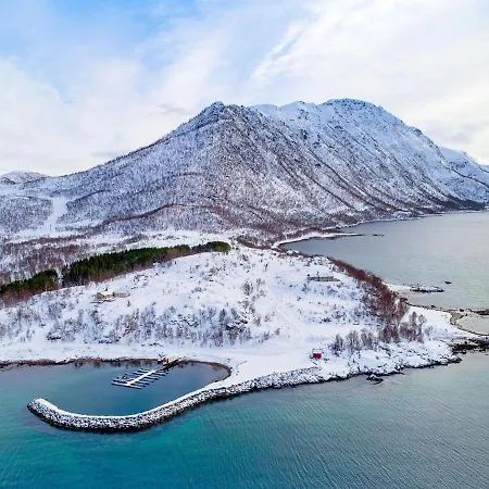 Holiday *